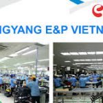 Công ty TNHH Dong Yang E&P Việt Nam (Hàn Quốc) 