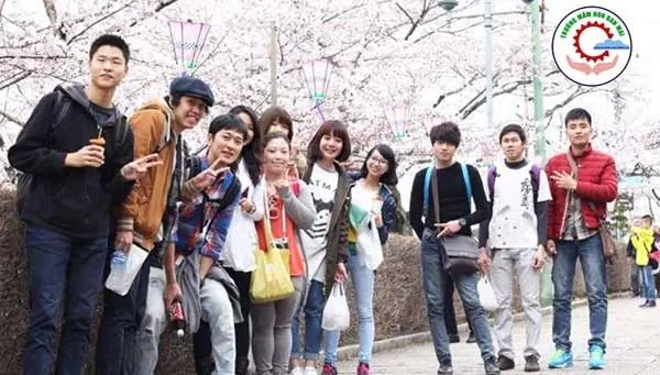 Dich Thuat Du Hoc Han Quoc