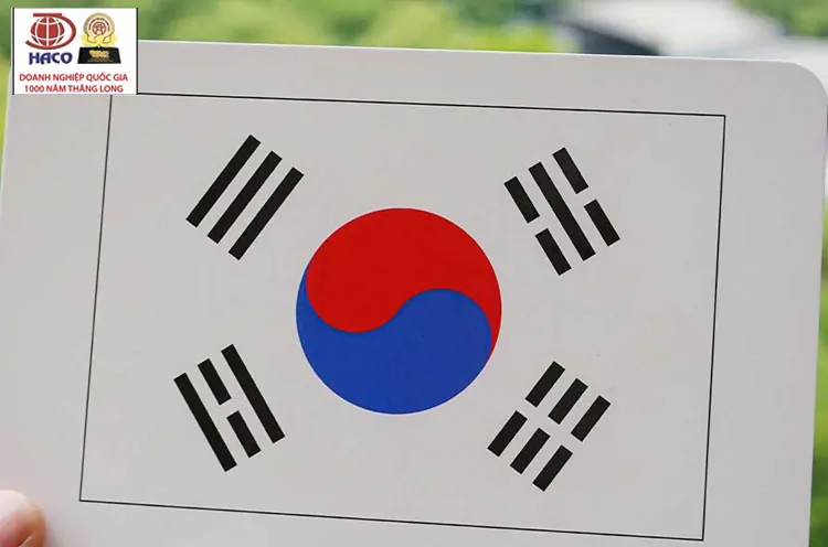 Dichthuahaco Haco Dia Diem Dich Thuat Tieng Han O Ha Noi Uy Tin Hang Dau 02