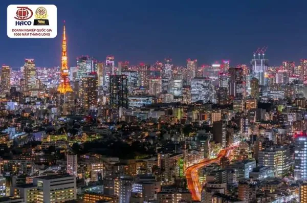 Dichthuathaco Gioi Thieu Dia Chi Dich Thuat Tieng Nhat Truc Tuyen Uy Tin Tai Ha Noi 02