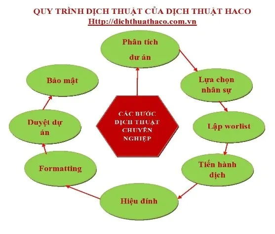 Quy Trinh Dich Thuat Haco