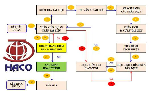 Quy Trinh Dich Thuat Tai Haco