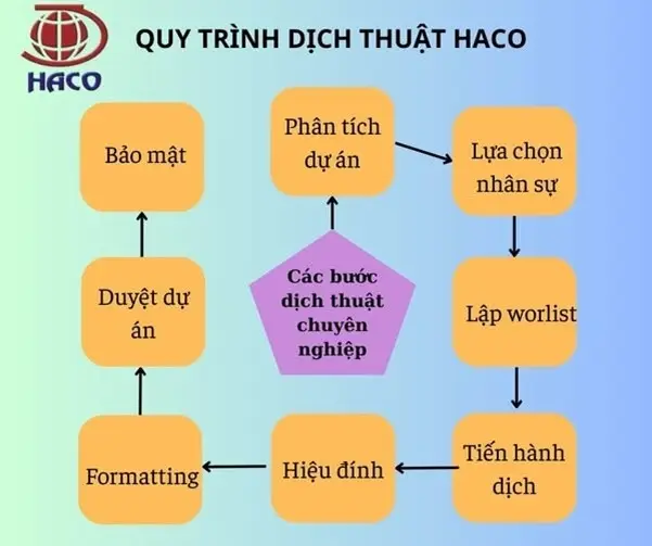 Quy Trình Haco