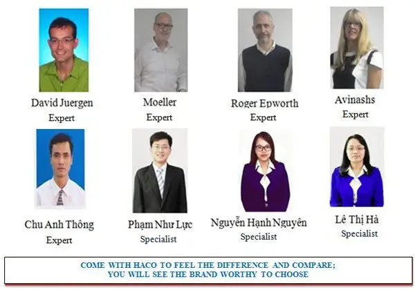 Team Of Translation Experts