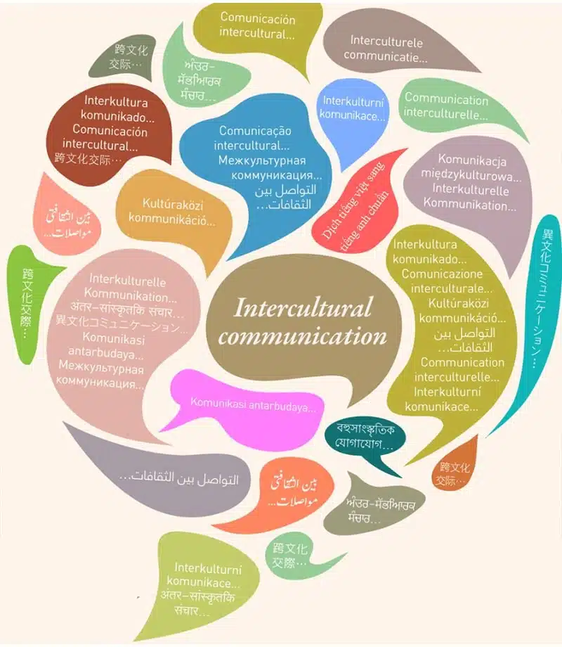 Tro Thanh Mot Dich Gia Dich Thuat Tieng Anh Sang Tieng Viet Gioi