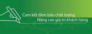 MỘT SỐ NGUYÊN TẮC KHI DỊCH CÂU TỪ TIẾNG VIỆT SANG TIẾNG ANH - P1