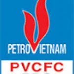 Công Ty CP bao bì Dầu khí Việt Nam (PSP) 
