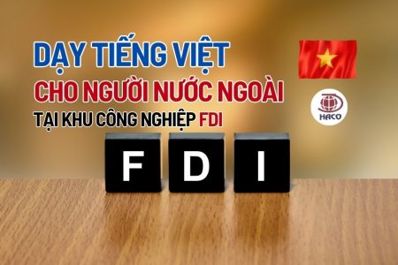 Ảnh Bìa Dạy Tiếng Việt Cho Người Nước Ngoài Tại Các Khu Công Nghiệp Fdi Thách Thức Và Cơ Hội