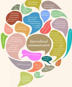 Ban Can Gi De Tro Thanh Mot Dich Gia Dich Thuat Tieng Anh Sang Tieng Viet Gio