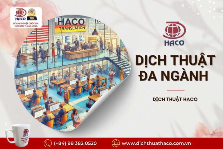 Dịch Báo Cáo Tài Chính – Hồ Sơ Doanh Nghiệp Chuẩn Xác