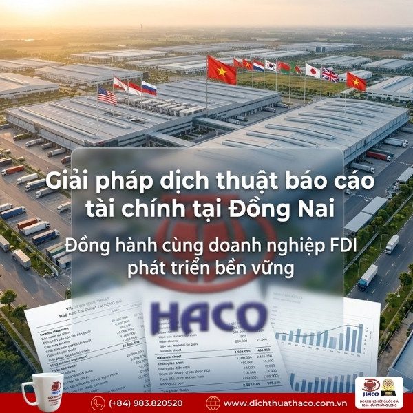 Dịch thuật báo cáo tài chính doanh nghiệp FDI Đồng Nai
