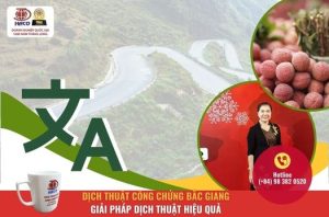 Dich Thuat Cong Chung Bac Giang Giai Phap Dich Thuat Hieu Qua