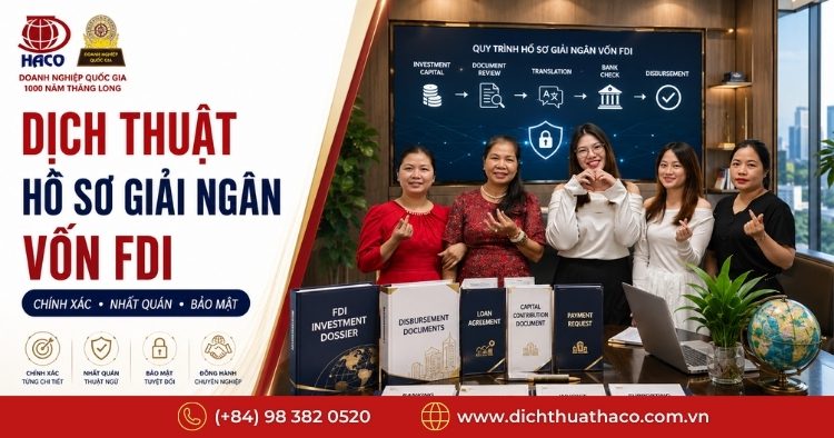 dich thuat ho so giai ngan von fdi 8
