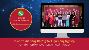 Dịch Thuật Tài Liệu Tài Chính Uy Tín Chính Xác Bảo Mật Dịch Thuật Haco