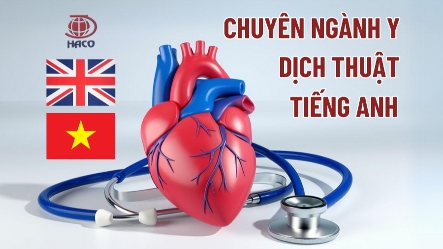 Dịch Thuật Tiếng Anh Chuyên Nghành Y Dịch Vụ Uy Tín Tại Việt Nam