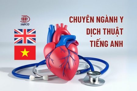 Dịch Thuật Tiếng Anh Chuyên Nghành Y Dịch Vụ Uy Tín Tại Việt Nam