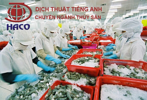 Dich Thuat Tieng Anh Nganh Thuy San