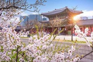 Dich Thuat Tieng Han Tai Tp Hcm