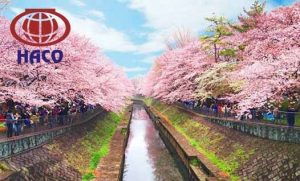 Dich Thuat Tieng Nhat Ban 2