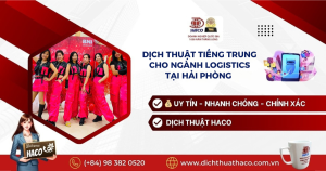 Dịch Thuật Tiếng Trung Cho Ngành Logistics Tại Hải Phòng – Hiệu Quả Và Linh Hoạt