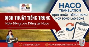 Dich Thuat Tieng Trung Hop Dong Lao Dong Dam Bao Chinh Xac