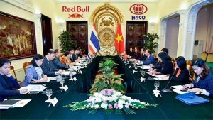 Dich Thuat Viet Thai