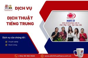 Dichvudichthuattiengtrungchuyennghiepnhanhchong (2)