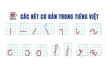 Hướng Dẫn Chi Tiết Các Nét Cơ Bản Trong Tiếng Việt Và Cách Viết Đúng