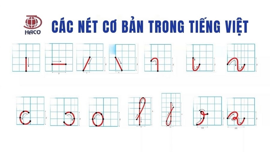 Hướng Dẫn Chi Tiết Các Nét Cơ Bản Trong Tiếng Việt Và Cách Viết Đúng