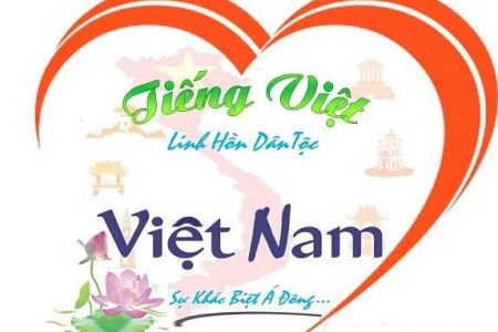 Introduction Of Haco Vietnamese Center