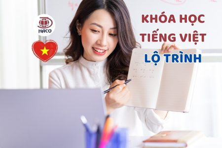 Khóa Học Tiếng Việt Cho Người Nước Ngoài Tại Haco Lộ Trình Học