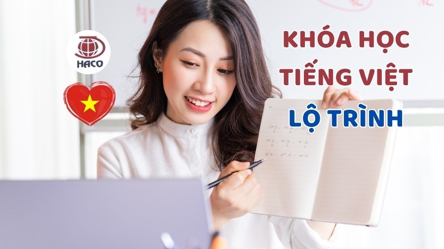 Khóa Học Tiếng Việt Cho Người Nước Ngoài Tại Haco Lộ Trình Học Hiệu Quả