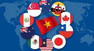 lựa chọn công ty dịch thuật tại quận gò vấp