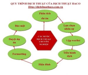 Quy Trinh Dich Thuat Haco