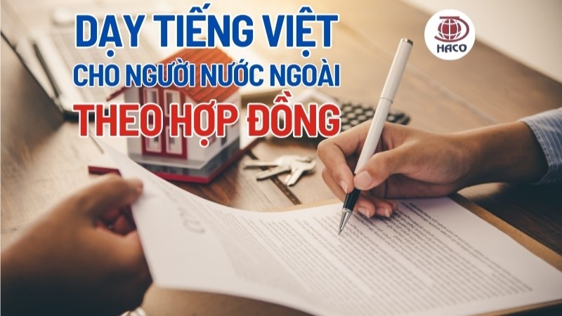 Quy Trình & Thách Thức Dạy Tiếng Việt Cho Người Nước Ngoài Theo Hợp Đồng