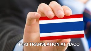 Thai Translation At Haco