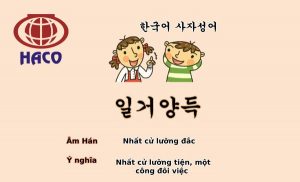 Tuc Ngu Han Viet