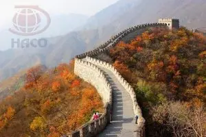 Cong Ty Dich Thuat Tieng Trung 1