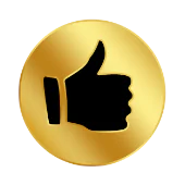 Icon Dv 4