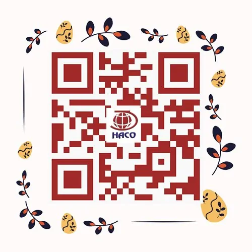 Qr Dich Thuat Haco